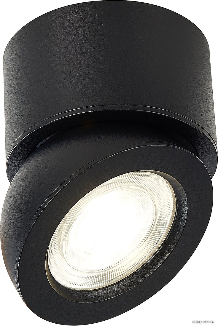 Спот ST Luce ST654 ST654.442.10