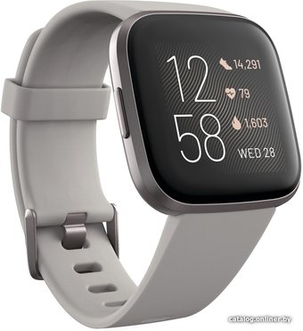 Умные часы Fitbit Versa 2 (серый/серый алюминий)