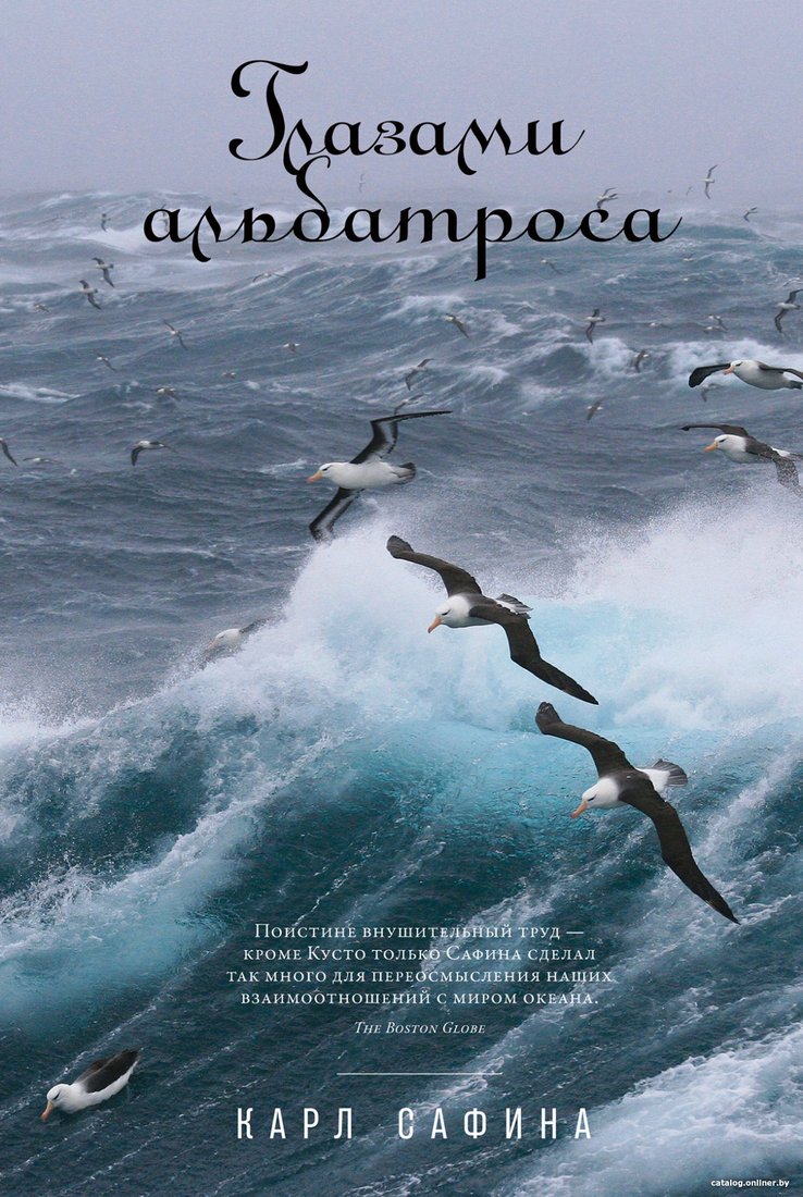 Книга издательства Альпина Диджитал. Глазами альбатроса (Сафина К.)