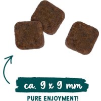 Сухой корм для кошек Bosch Sanabelle Outdoor mit Ente & Blaubeeren 0.4 кг