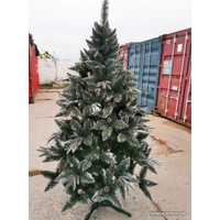 Сосна Christmas Tree Северная люкс с шишками 2 м
