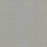 Мини рулонные шторы Эскар 62x170 310200621701 (серый)