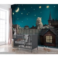 Фотообои ФабрикаФресок Кот на крыше 473270 (300x270)