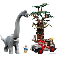 Конструктор LEGO Jurassic World 76960 Встреча с Брахиозавром