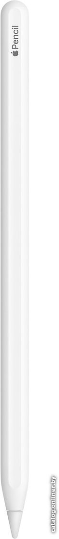 Стилус для планшета Apple Pencil (2-го поколения)