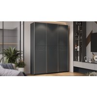 Шкаф-купе Трия Оскар Скания Т2 1800 268685 (ручка серебро/серый графит/серый графит/графит матовый)