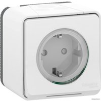 Розетка Schneider Electric Mureva Styl MUR39034