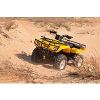 Квадроцикл Stels ATV 400 Hunter