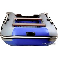 Моторная лодка Reef 300НД