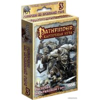 Настольная игра Мир Хобби Pathfinder. Расправа на Крюковой горе