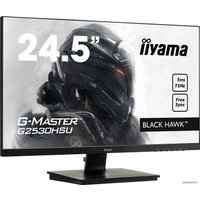 Игровой монитор Iiyama G-Master Black Hawk G2530HSU-B1
