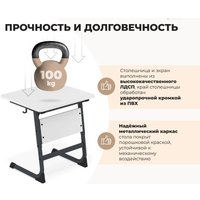 Парта Sheffilton SHT-T-TN13/3-5 (антрацит/береза)