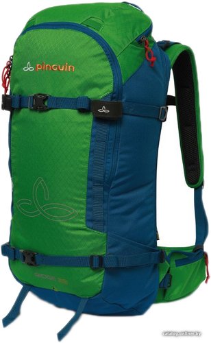 Туристический рюкзак Pinguin Ridge 28 (зеленый)