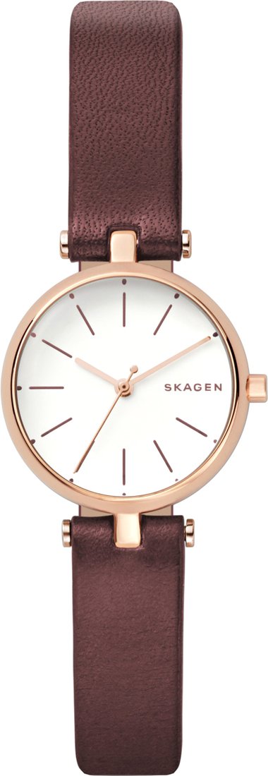 

Наручные часы Skagen SKW2641