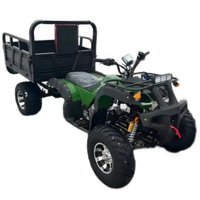 Квадроцикл BNP Stryker 250 Cargo (зеленый)