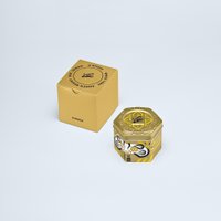 Наручные часы Casio G-Shock DW-6900GDA-9E в Солигорске