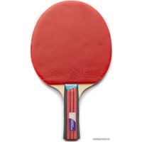 Ракетка для настольного тенниса Giant Dragon TaiChi P40+ (FL)