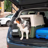 Переноска Ferplast Atlas Classic 60 73059021 (зеленый)