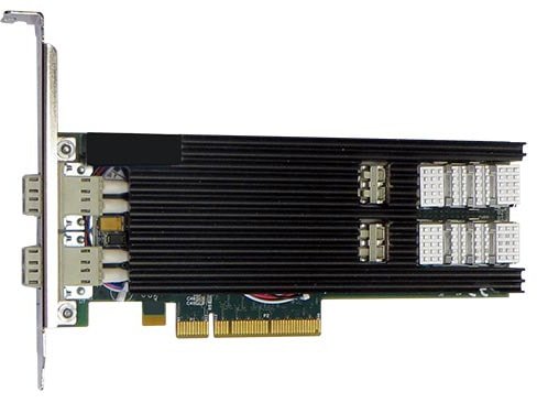 

Сетевая карта Silicom PE210G2BPi9-SR-SD