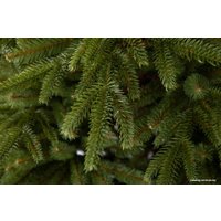 Ель GreenTerra Скандинавская 1.5 м