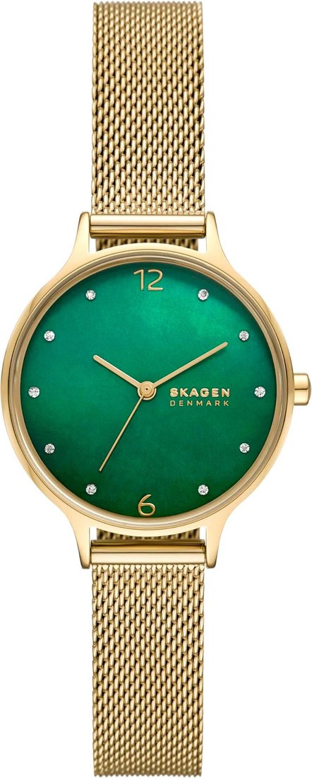Наручные часы Skagen SKW3145