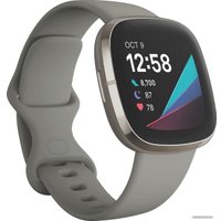 Умные часы Fitbit Sense (серый/серебристый)