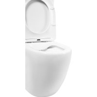 Унитаз напольный BelBagno Amanda BB051CPR/BB051T/BB089SC