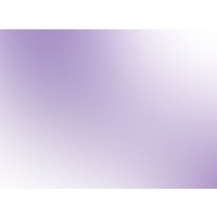 Плеть Kissexpo 291807059 (фиолетовый)