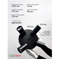 Припотолочная люстра TruEnergy 21492