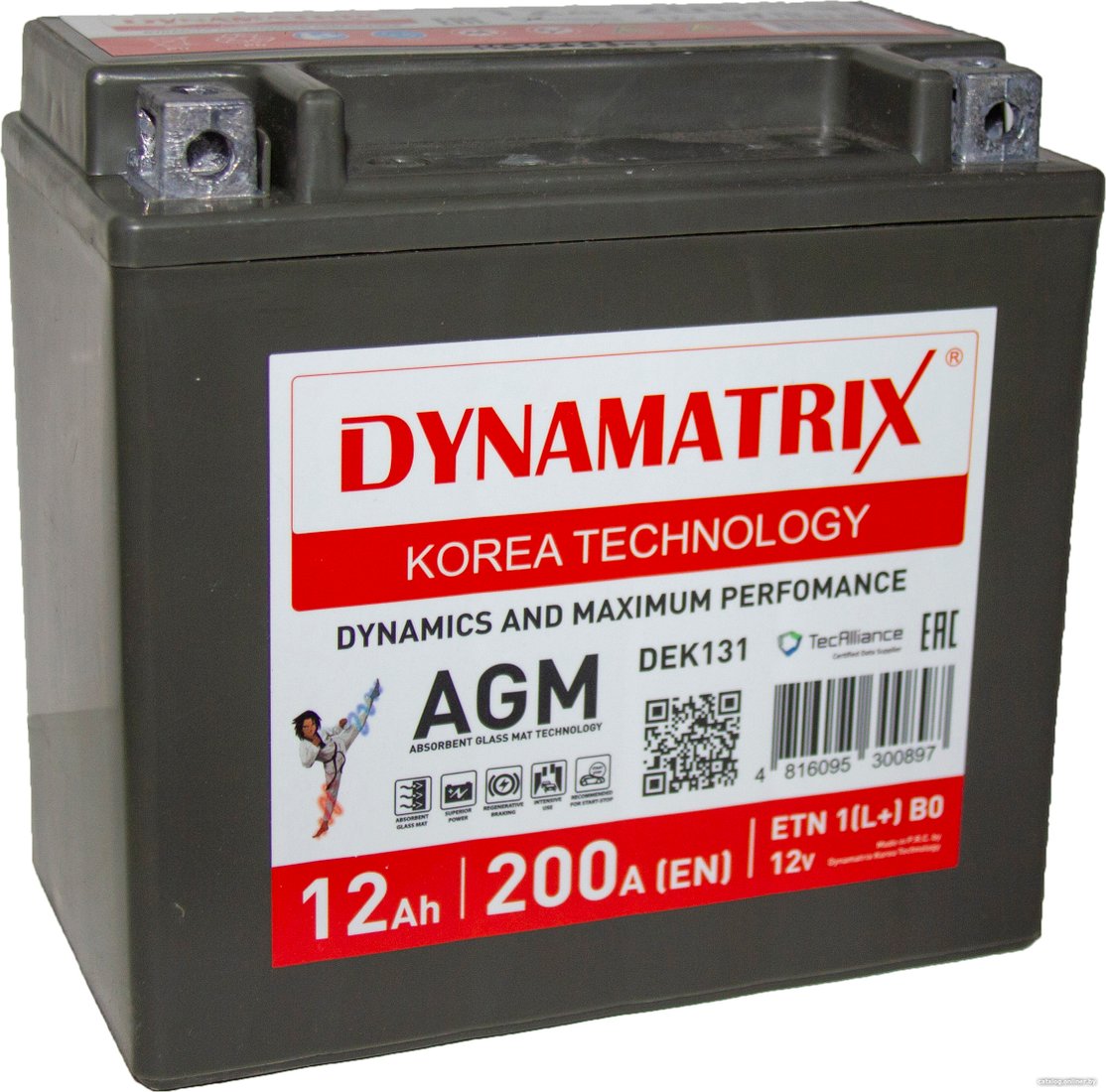 Автомобильный аккумулятор Dynamatrix AGM DEK131 200A (12 А·ч)