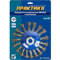 Щетка для электроинструмента Практика Мастер 032-508