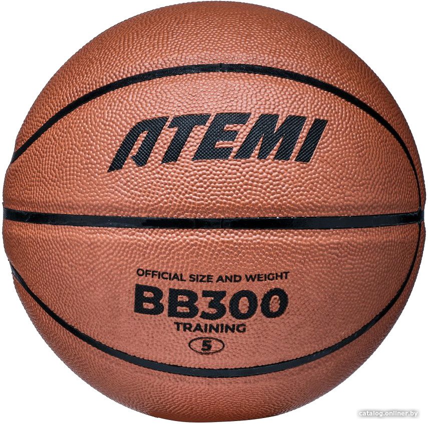 Баскетбольный мяч Atemi BB300N (5 размер)