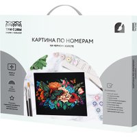 Картина по номерам Три совы Бабочка на цветах КХп_48162