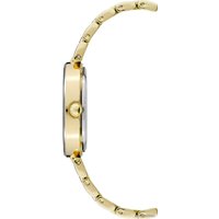 Наручные часы Anne Klein 1362PRGB