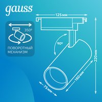 Трековый светильник Gauss TR074
