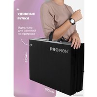 Cпортивный мат Proiron МС249 (черный)
