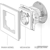 Розетка Werkel W1171508