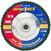 Шлифовальный круг Практика Эксперт 779-752