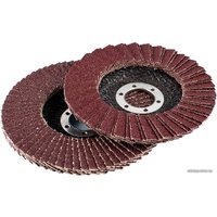 Набор шлифкругов БаЗ КЛТ2 A00001264 (5 шт)