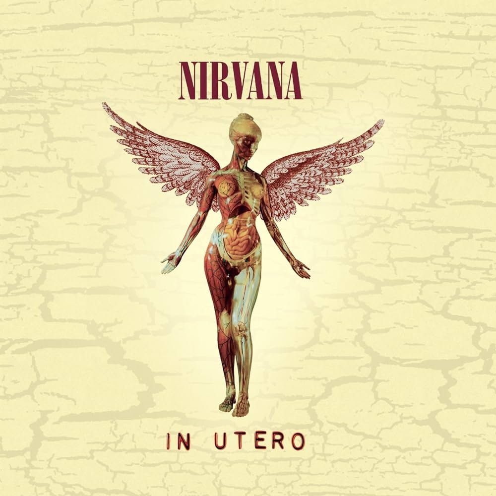 

Виниловая пластинка Nirvana - In Utero (30th Anniversary Edition)