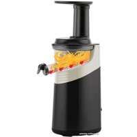 Соковыжималка Scarlett SC-JE50S58 в Гомеле