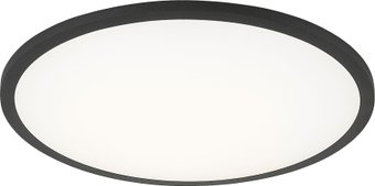 Светильник Citilux Омега CLD50R222 (черный)