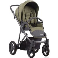 Универсальная коляска BEBETTO Flavio (2 в 1, 03)