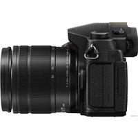 Беззеркальный фотоаппарат Panasonic Lumix DMC-G80 Kit 12-60mm