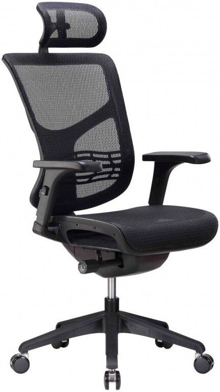Офисное кресло Ergostyle Vista VSM01 (черный)