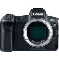 Беззеркальный фотоаппарат Canon EOS R Kit адаптер крепления EF-EOS R