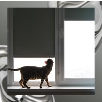 Рулонные шторы Franc Gardiner Blackout Silver 55x250 9403219745 (серый)