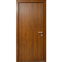 Металлическая дверь Стальная Линия Хаски глухой для дома