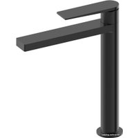 Смеситель Ganzer GZ 07012C (черный)