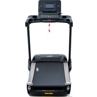 Электрическая беговая дорожка Proxima Gela